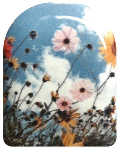 Blumenwiese urban