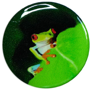 Libre Sticker Frosch