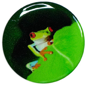 Libre Sticker Frosch