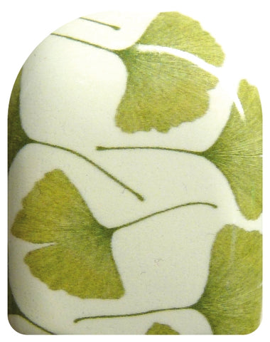 Gingko