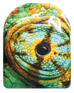 Leguan