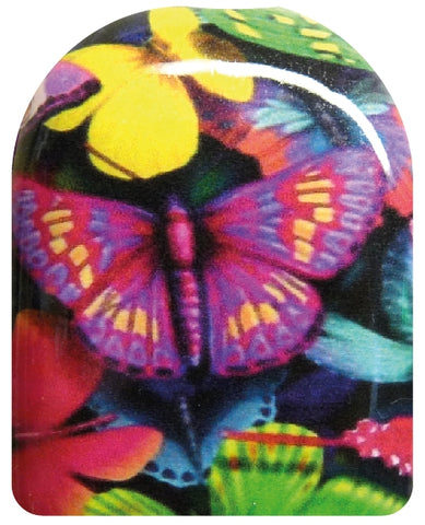 Schmetterlinge