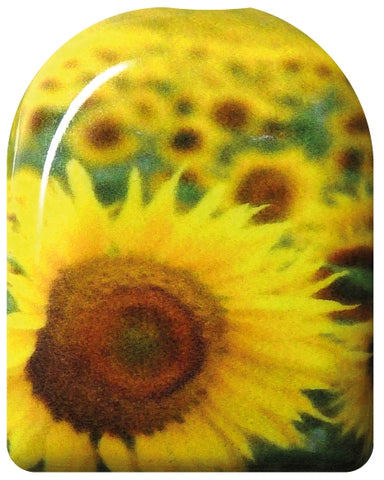 Sonnenblumen