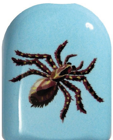 Spinne