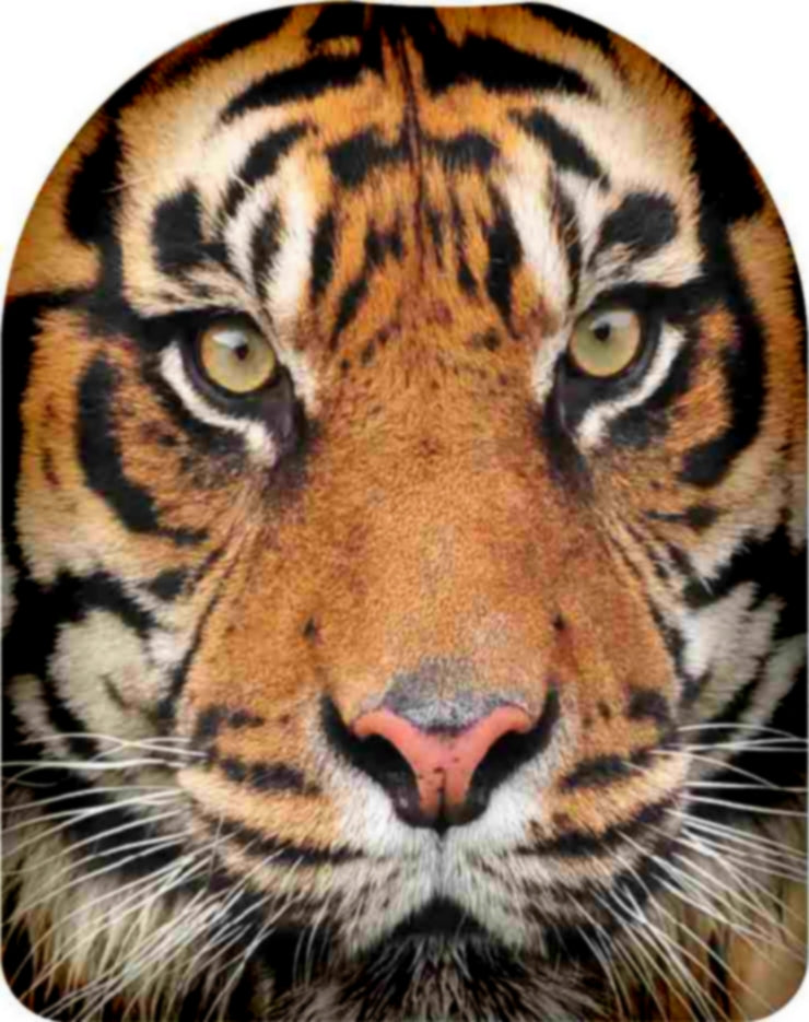 Tiger extra stark