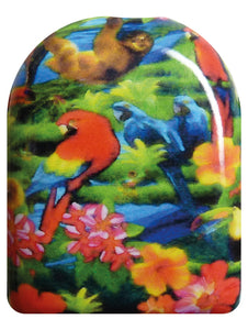Tropic